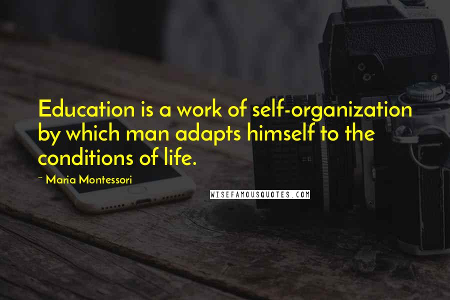 Maria Montessori Quotes: Education is a work of self-organization by which man adapts himself to the conditions of life.