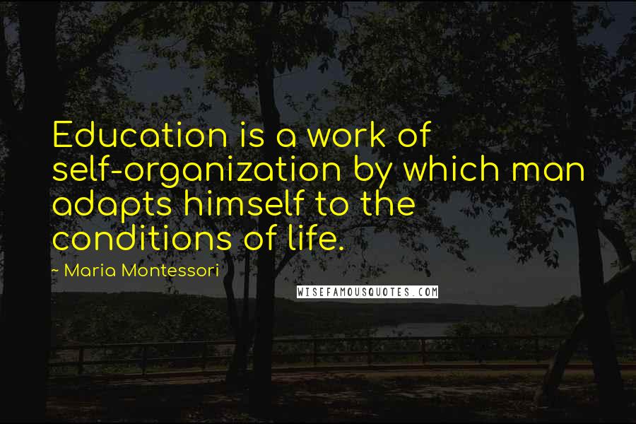 Maria Montessori Quotes: Education is a work of self-organization by which man adapts himself to the conditions of life.