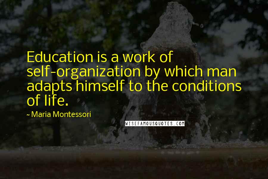 Maria Montessori Quotes: Education is a work of self-organization by which man adapts himself to the conditions of life.
