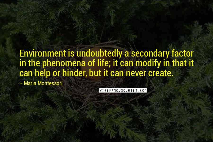 Maria Montessori Quotes: Environment is undoubtedly a secondary factor in the phenomena of life; it can modify in that it can help or hinder, but it can never create.