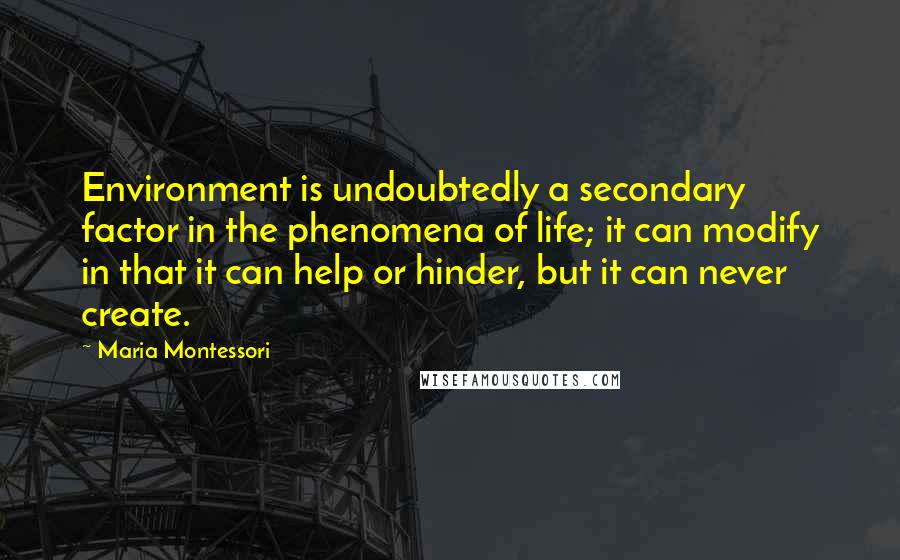 Maria Montessori Quotes: Environment is undoubtedly a secondary factor in the phenomena of life; it can modify in that it can help or hinder, but it can never create.