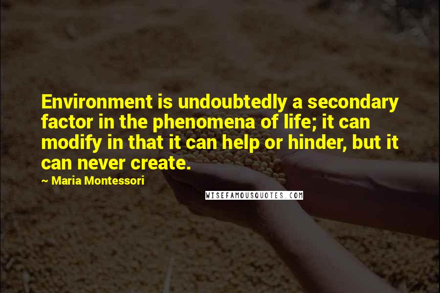 Maria Montessori Quotes: Environment is undoubtedly a secondary factor in the phenomena of life; it can modify in that it can help or hinder, but it can never create.
