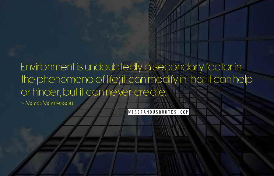 Maria Montessori Quotes: Environment is undoubtedly a secondary factor in the phenomena of life; it can modify in that it can help or hinder, but it can never create.