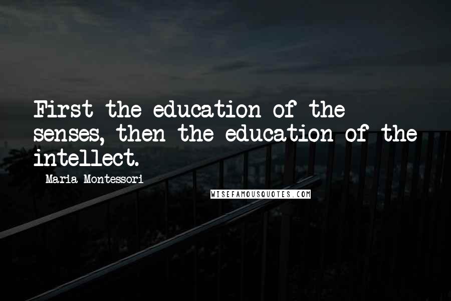 Maria Montessori Quotes: First the education of the senses, then the education of the intellect.