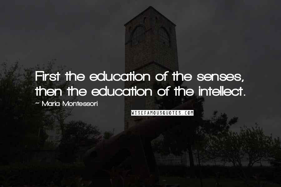 Maria Montessori Quotes: First the education of the senses, then the education of the intellect.