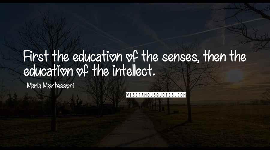 Maria Montessori Quotes: First the education of the senses, then the education of the intellect.