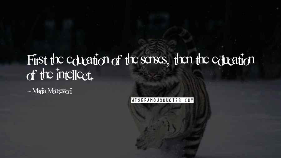 Maria Montessori Quotes: First the education of the senses, then the education of the intellect.
