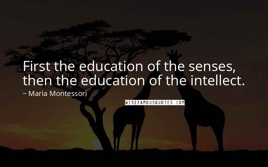 Maria Montessori Quotes: First the education of the senses, then the education of the intellect.