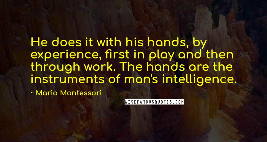 Maria Montessori Quotes: He does it with his hands, by experience, first in play and then through work. The hands are the instruments of man's intelligence.