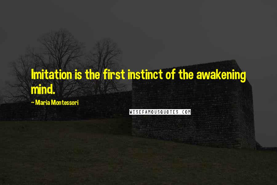 Maria Montessori Quotes: Imitation is the first instinct of the awakening mind.
