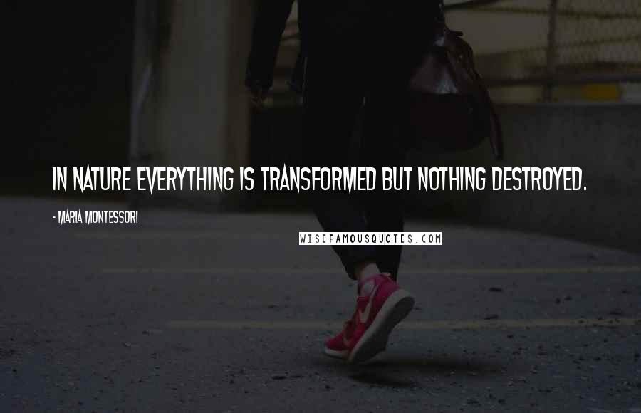 Maria Montessori Quotes: In nature everything is transformed but nothing destroyed.