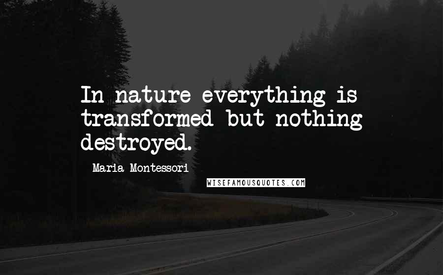 Maria Montessori Quotes: In nature everything is transformed but nothing destroyed.