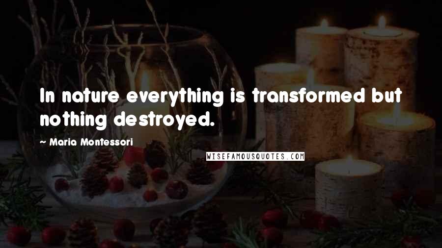 Maria Montessori Quotes: In nature everything is transformed but nothing destroyed.