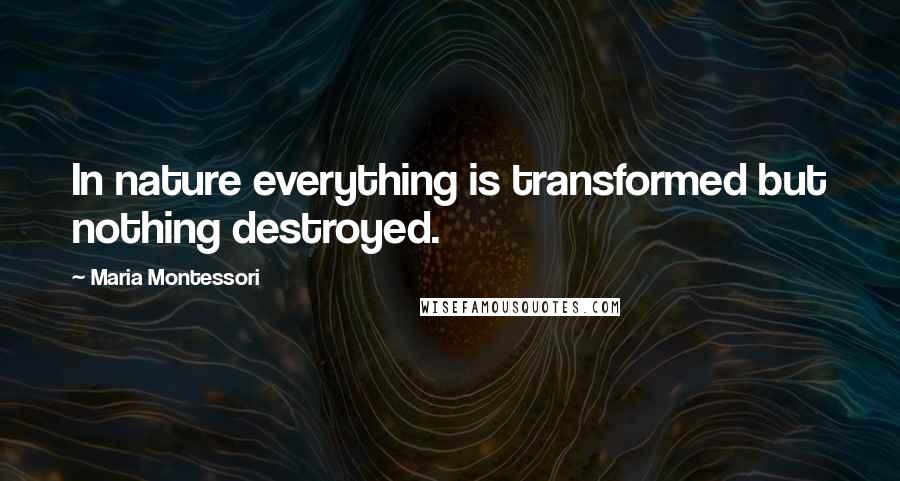 Maria Montessori Quotes: In nature everything is transformed but nothing destroyed.