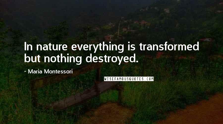 Maria Montessori Quotes: In nature everything is transformed but nothing destroyed.