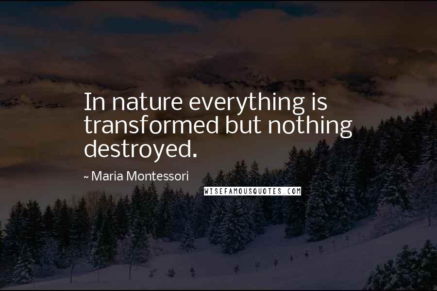 Maria Montessori Quotes: In nature everything is transformed but nothing destroyed.