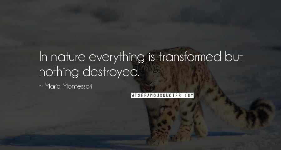 Maria Montessori Quotes: In nature everything is transformed but nothing destroyed.