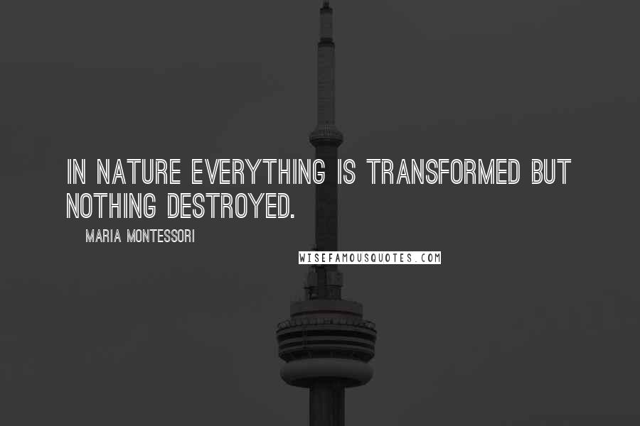 Maria Montessori Quotes: In nature everything is transformed but nothing destroyed.