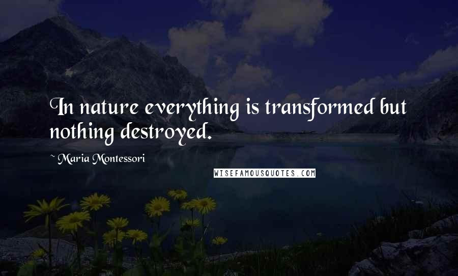 Maria Montessori Quotes: In nature everything is transformed but nothing destroyed.