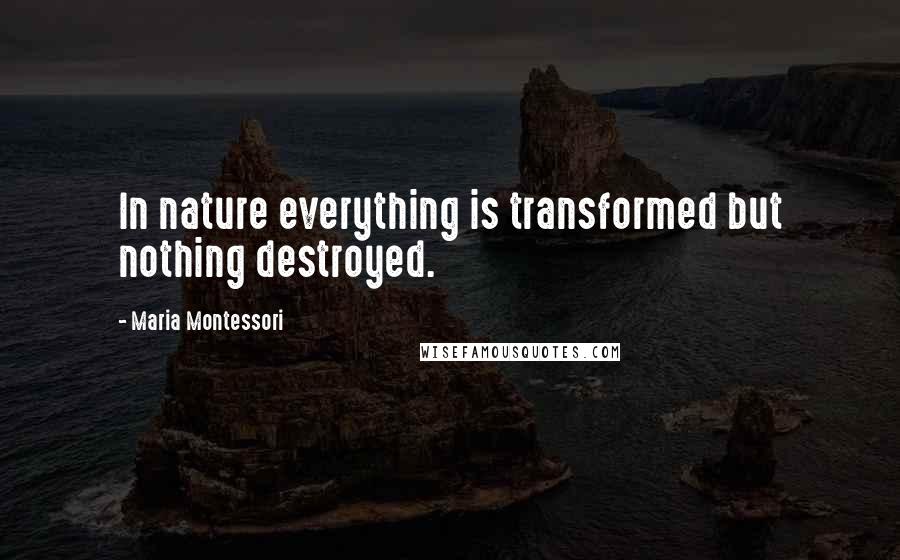 Maria Montessori Quotes: In nature everything is transformed but nothing destroyed.