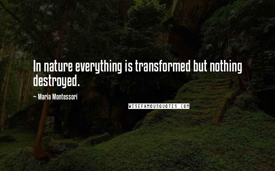 Maria Montessori Quotes: In nature everything is transformed but nothing destroyed.