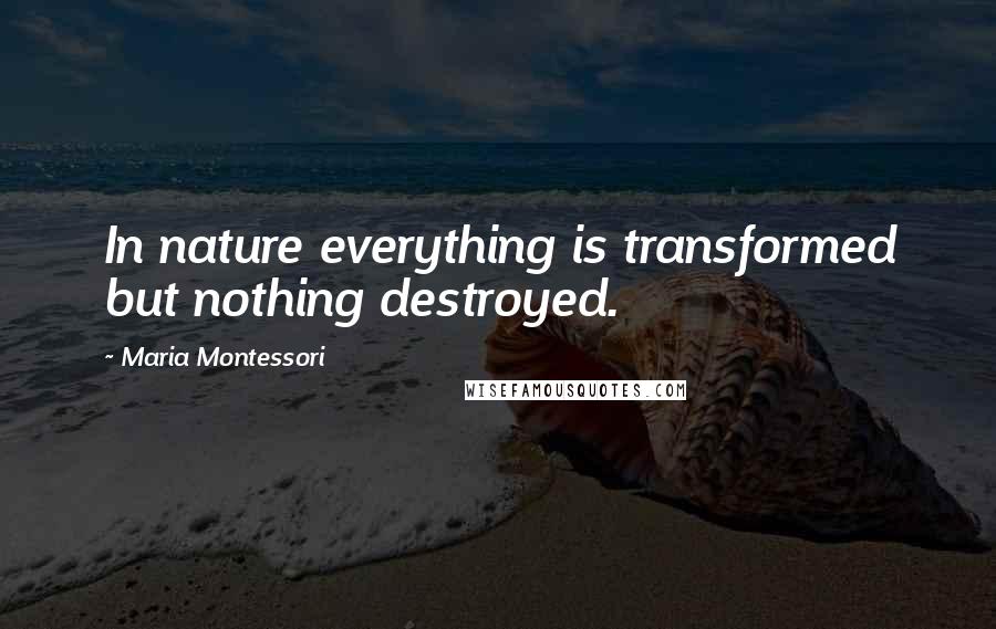 Maria Montessori Quotes: In nature everything is transformed but nothing destroyed.