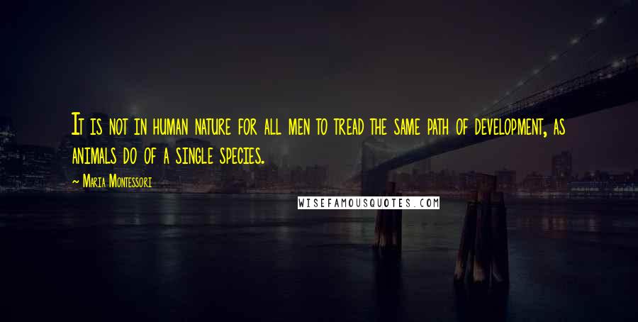 Maria Montessori Quotes: It is not in human nature for all men to tread the same path of development, as animals do of a single species.