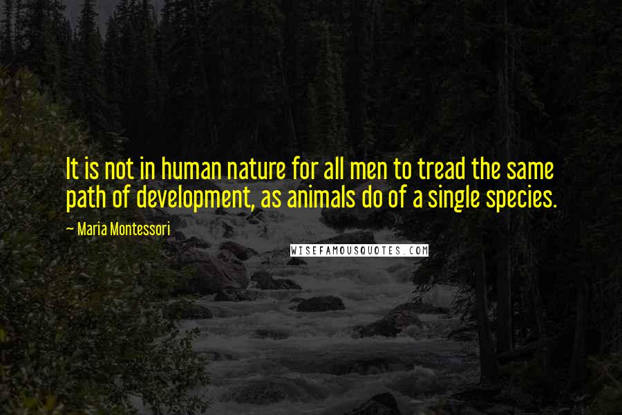 Maria Montessori Quotes: It is not in human nature for all men to tread the same path of development, as animals do of a single species.