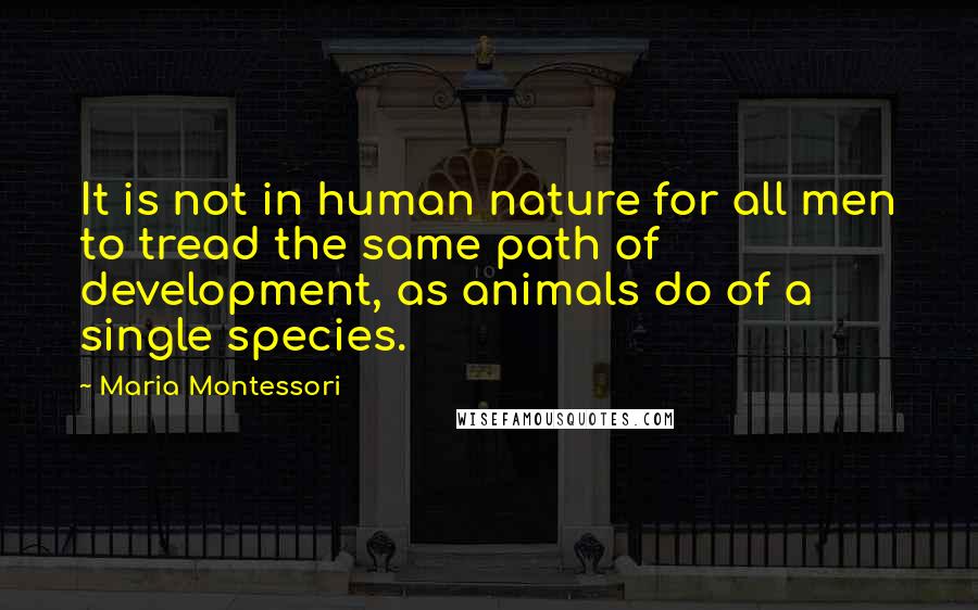 Maria Montessori Quotes: It is not in human nature for all men to tread the same path of development, as animals do of a single species.