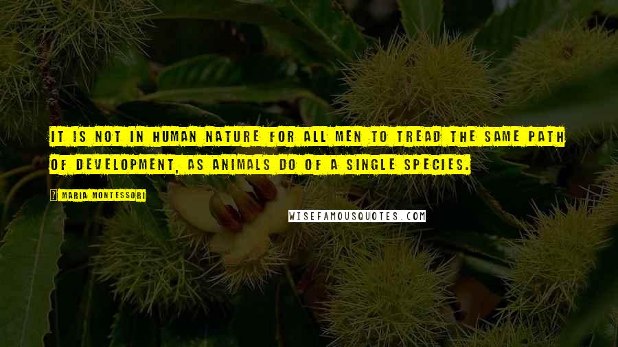 Maria Montessori Quotes: It is not in human nature for all men to tread the same path of development, as animals do of a single species.