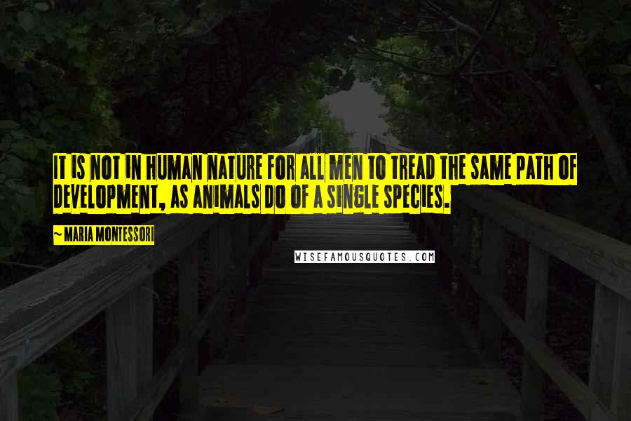 Maria Montessori Quotes: It is not in human nature for all men to tread the same path of development, as animals do of a single species.