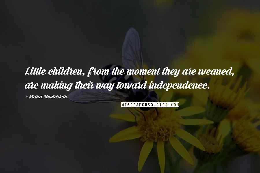 Maria Montessori Quotes: Little children, from the moment they are weaned, are making their way toward independence.