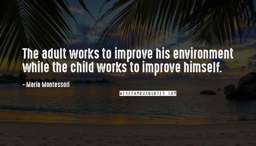 Maria Montessori Quotes: The adult works to improve his environment while the child works to improve himself.