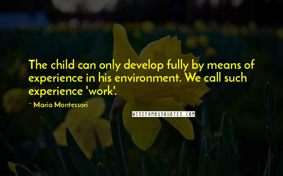 Maria Montessori Quotes: The child can only develop fully by means of experience in his environment. We call such experience 'work'.