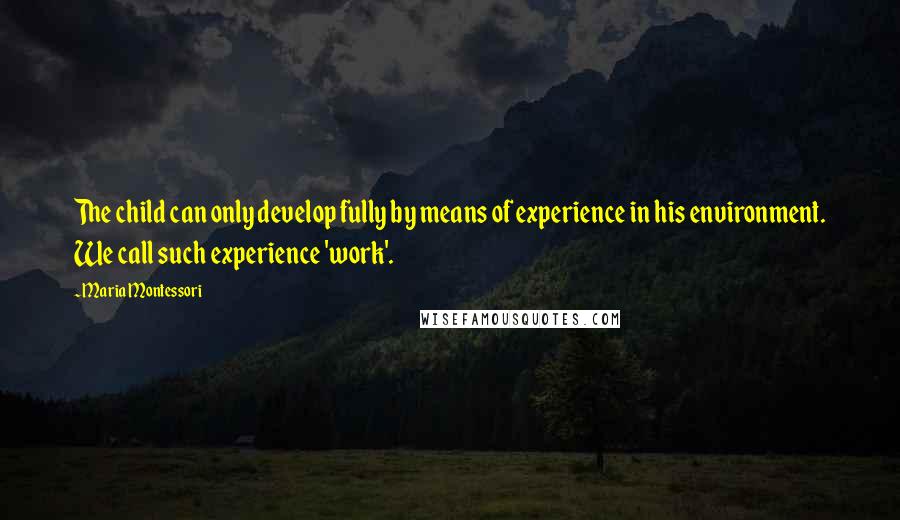 Maria Montessori Quotes: The child can only develop fully by means of experience in his environment. We call such experience 'work'.