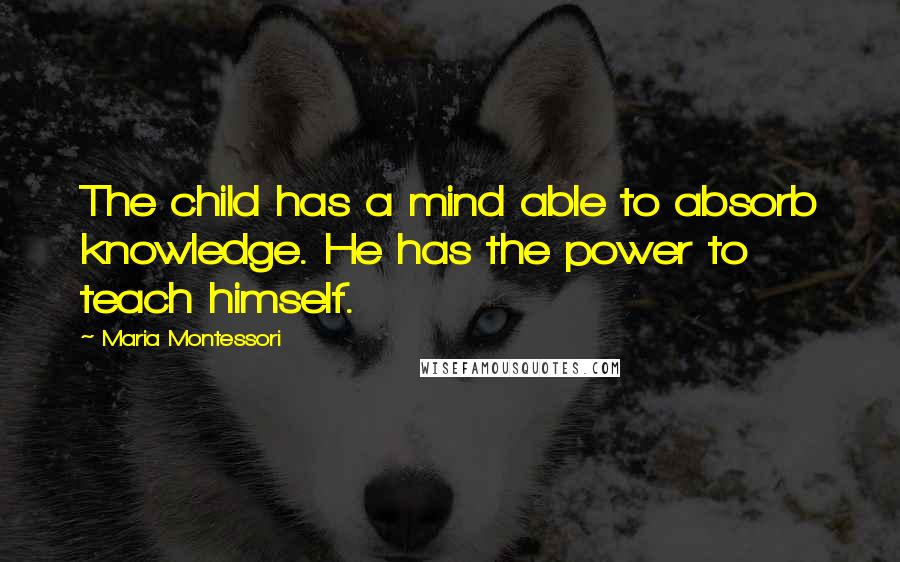 Maria Montessori Quotes: The child has a mind able to absorb knowledge. He has the power to teach himself.