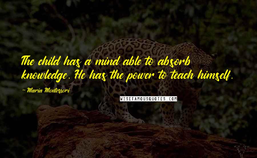 Maria Montessori Quotes: The child has a mind able to absorb knowledge. He has the power to teach himself.