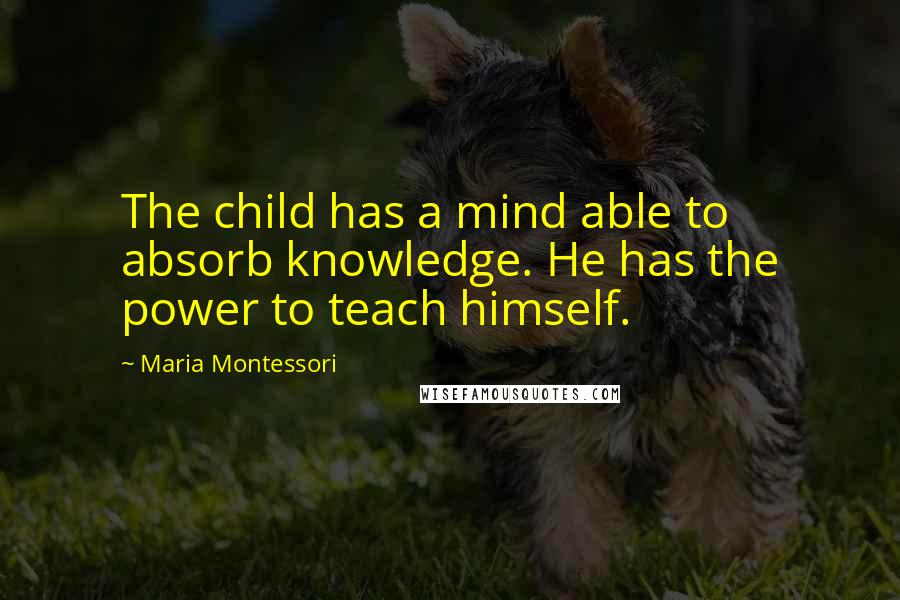 Maria Montessori Quotes: The child has a mind able to absorb knowledge. He has the power to teach himself.