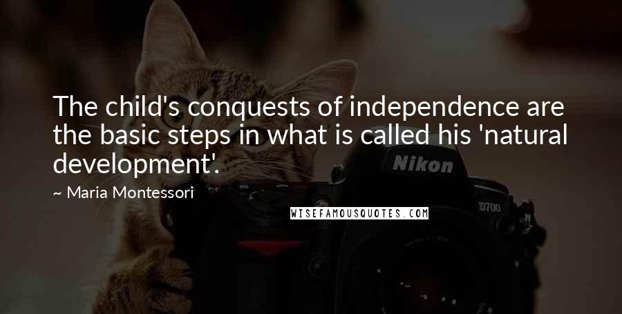 Maria Montessori Quotes: The child's conquests of independence are the basic steps in what is called his 'natural development'.