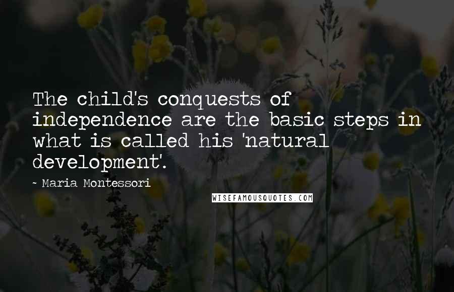 Maria Montessori Quotes: The child's conquests of independence are the basic steps in what is called his 'natural development'.