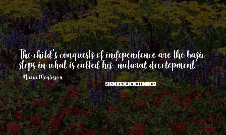 Maria Montessori Quotes: The child's conquests of independence are the basic steps in what is called his 'natural development'.