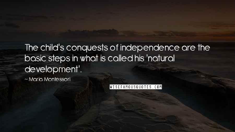 Maria Montessori Quotes: The child's conquests of independence are the basic steps in what is called his 'natural development'.