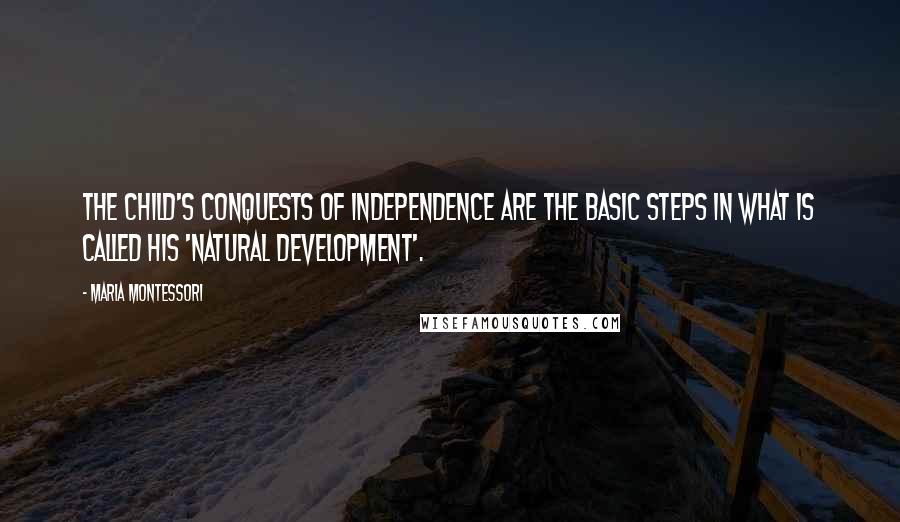 Maria Montessori Quotes: The child's conquests of independence are the basic steps in what is called his 'natural development'.