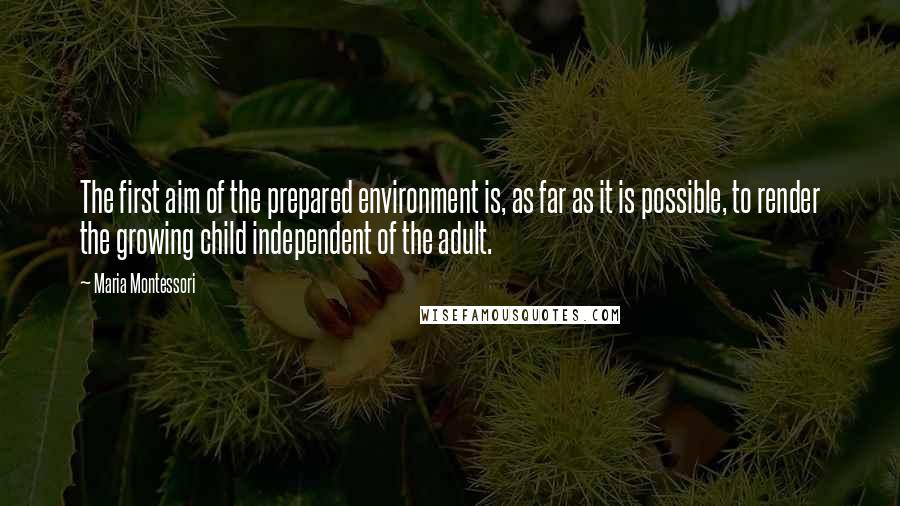 Maria Montessori Quotes: The first aim of the prepared environment is, as far as it is possible, to render the growing child independent of the adult.