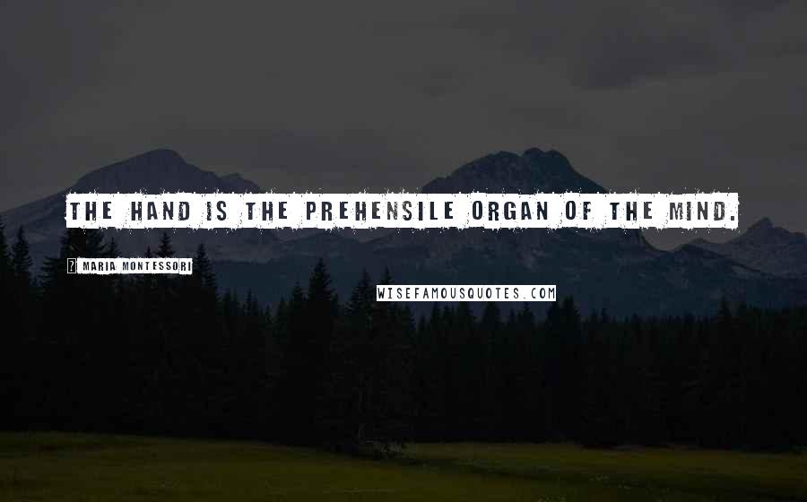 Maria Montessori Quotes: The hand is the prehensile organ of the mind.