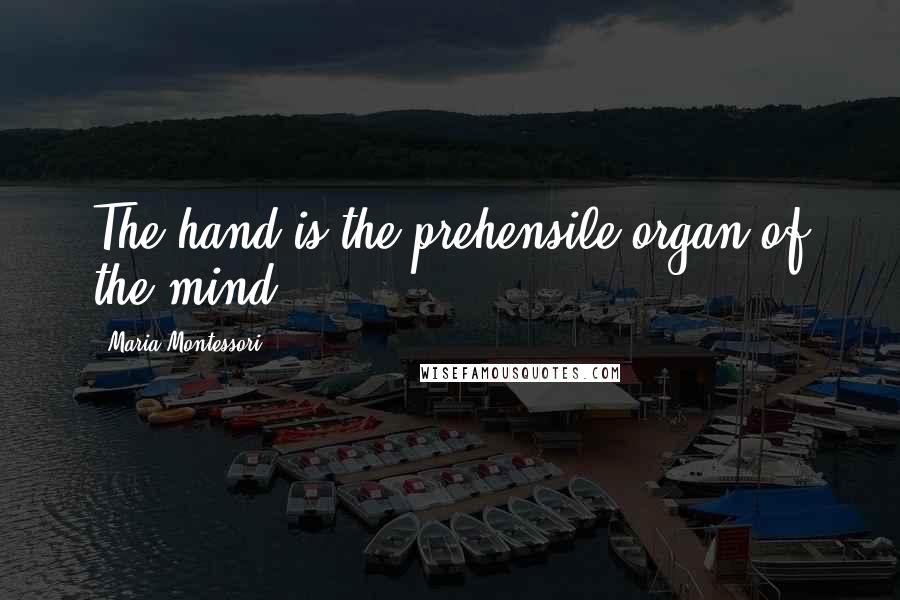 Maria Montessori Quotes: The hand is the prehensile organ of the mind.