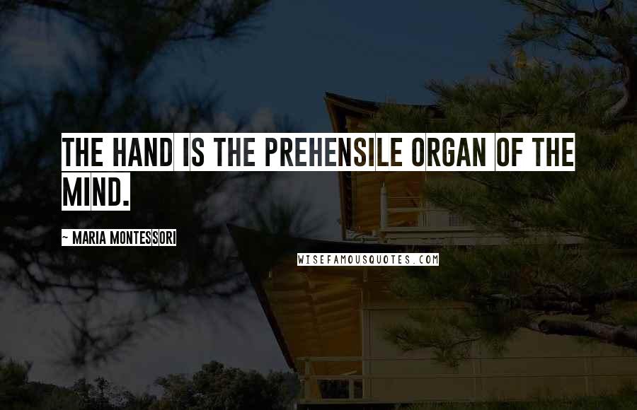 Maria Montessori Quotes: The hand is the prehensile organ of the mind.