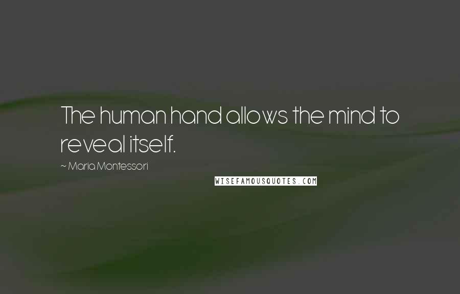 Maria Montessori Quotes: The human hand allows the mind to reveal itself.