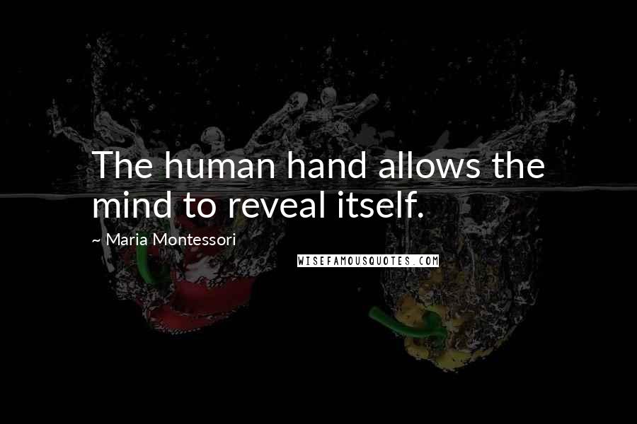 Maria Montessori Quotes: The human hand allows the mind to reveal itself.