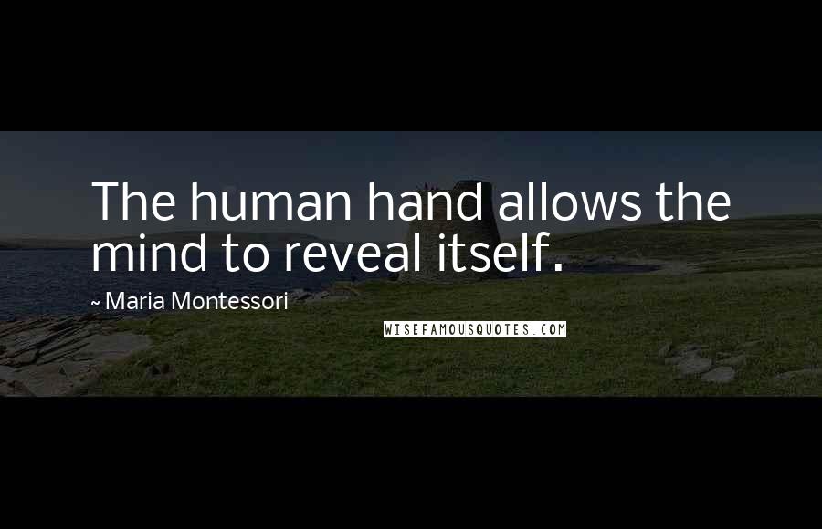 Maria Montessori Quotes: The human hand allows the mind to reveal itself.